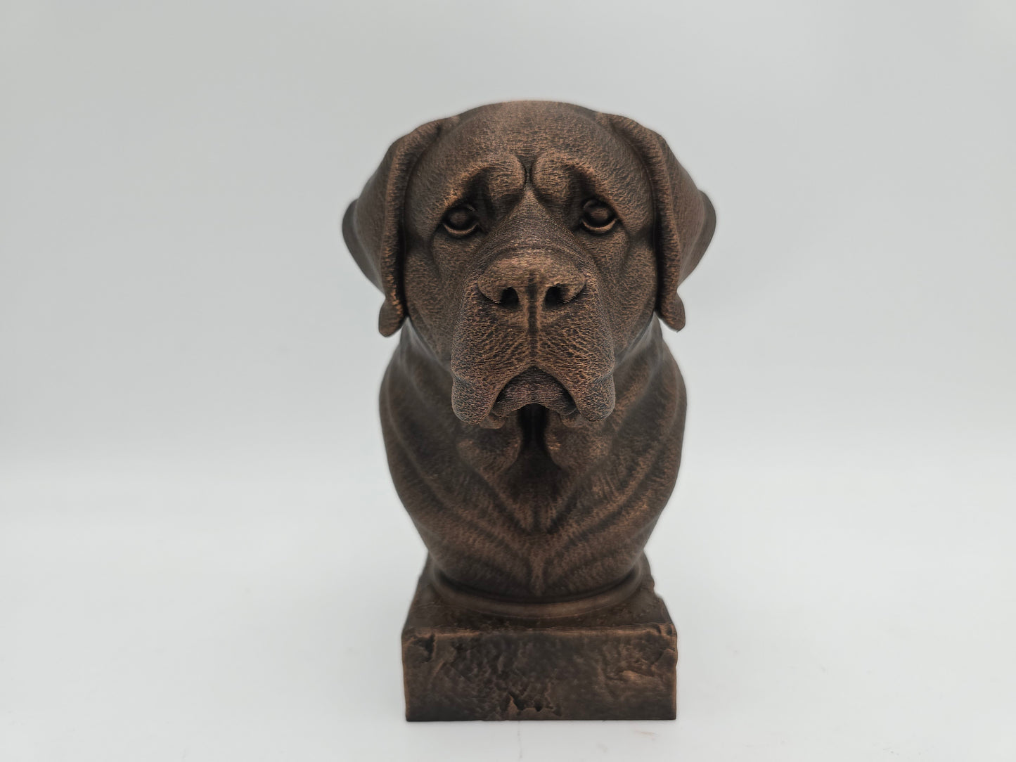 Saint Bernard Bust