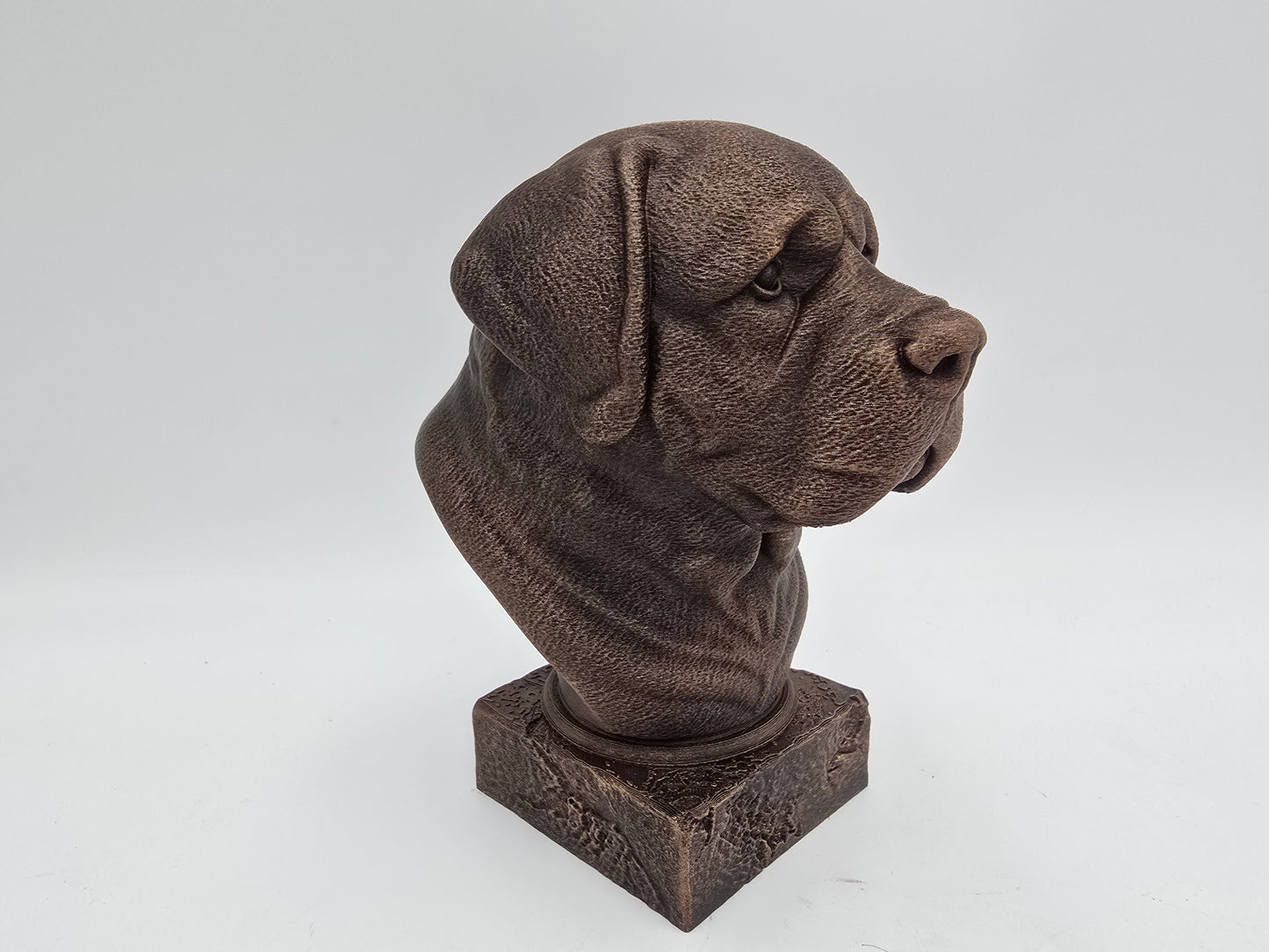 Saint Bernard Bust