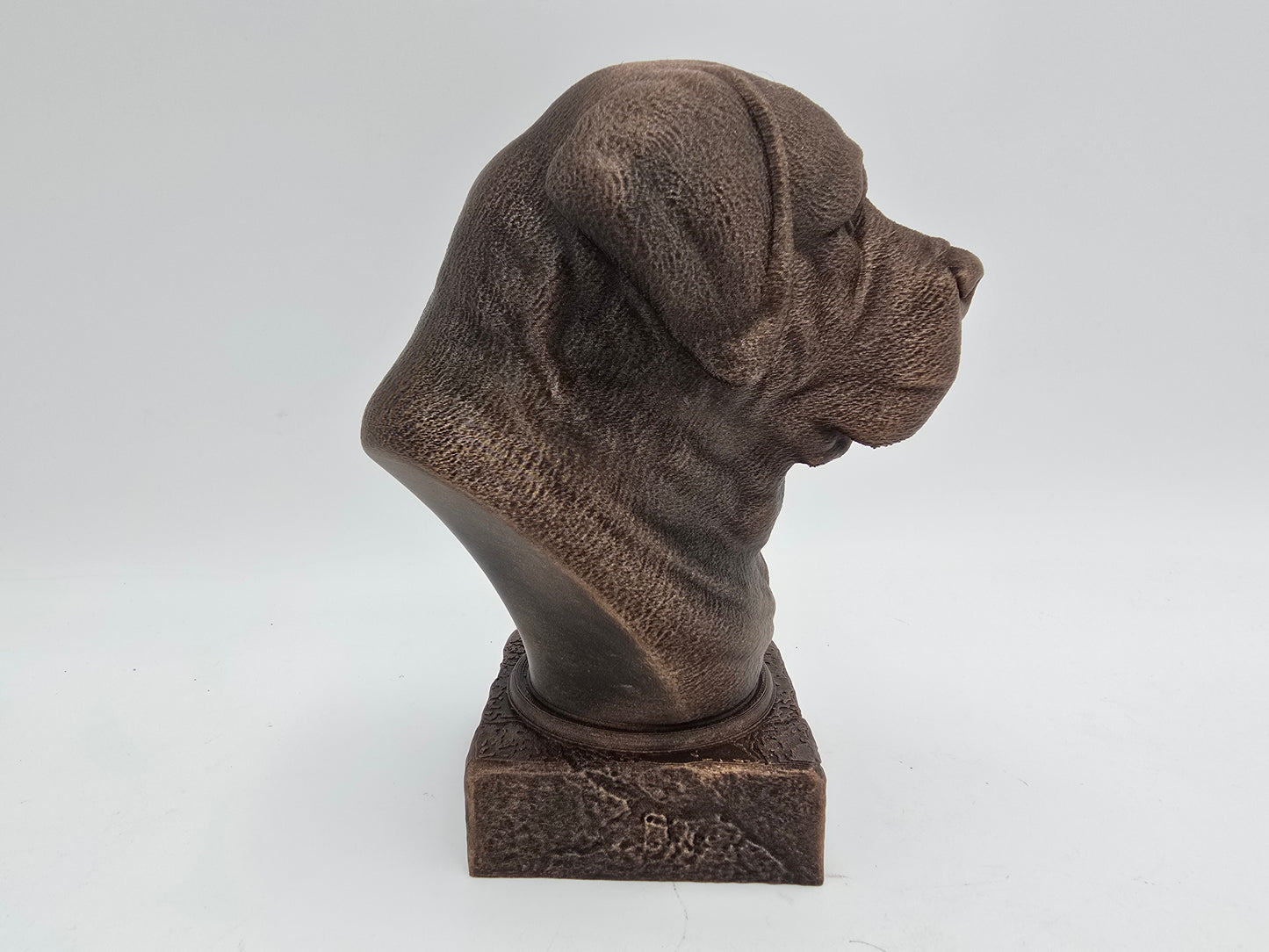 Saint Bernard Bust