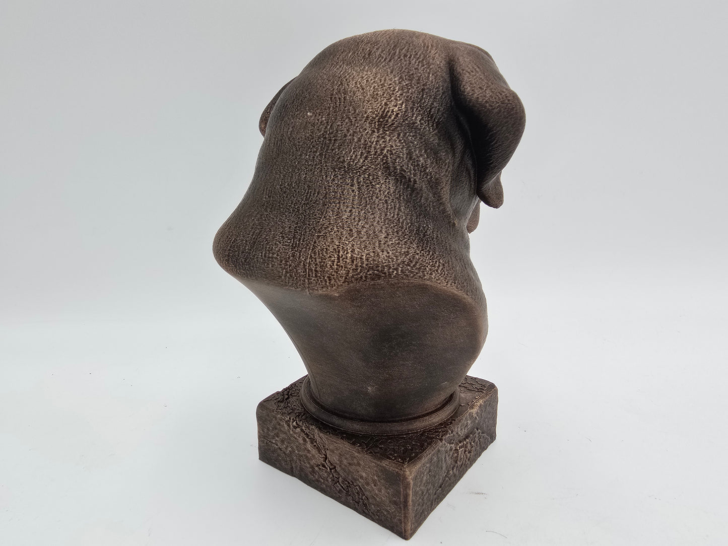 Saint Bernard Bust