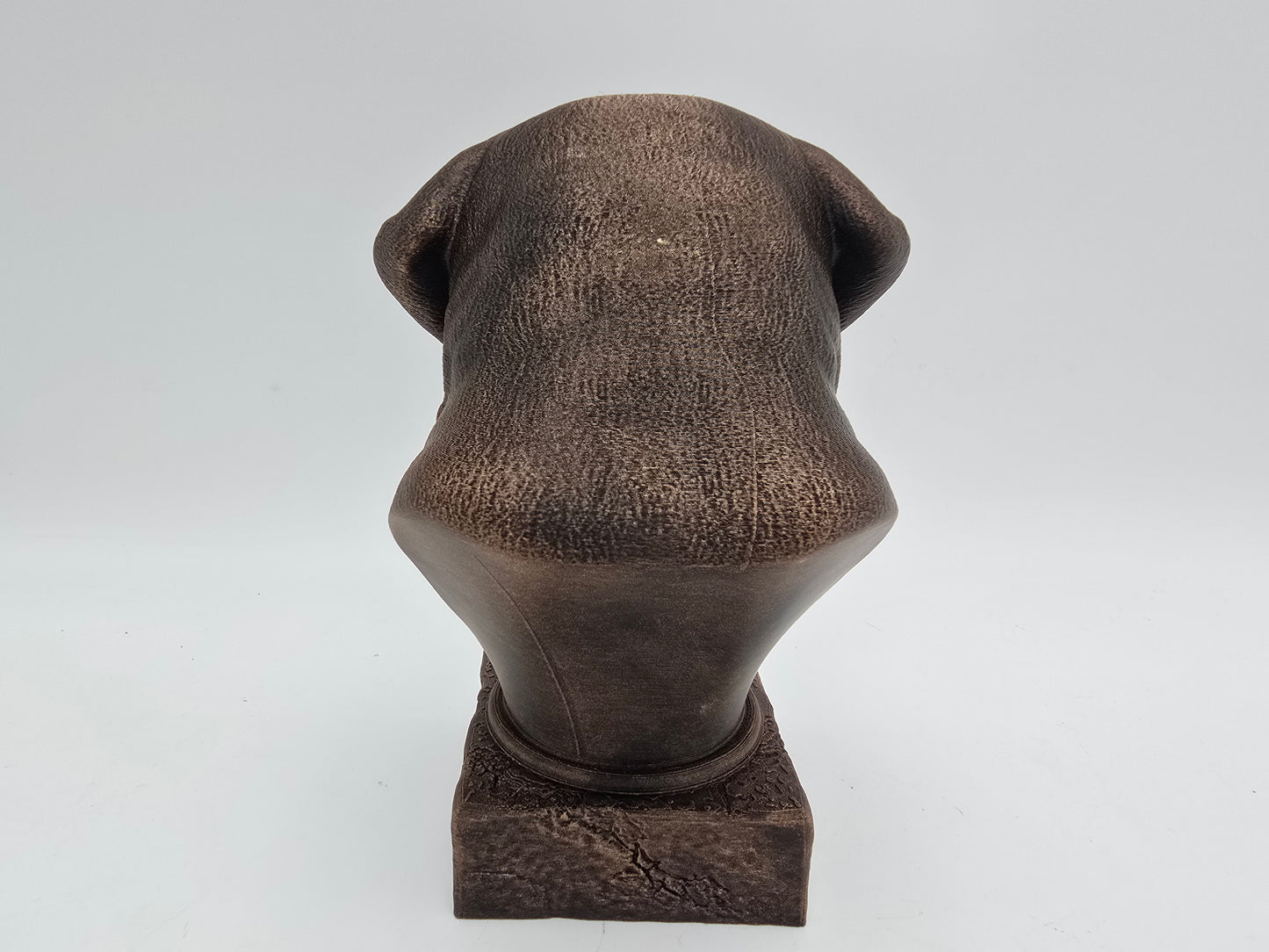 Saint Bernard Bust