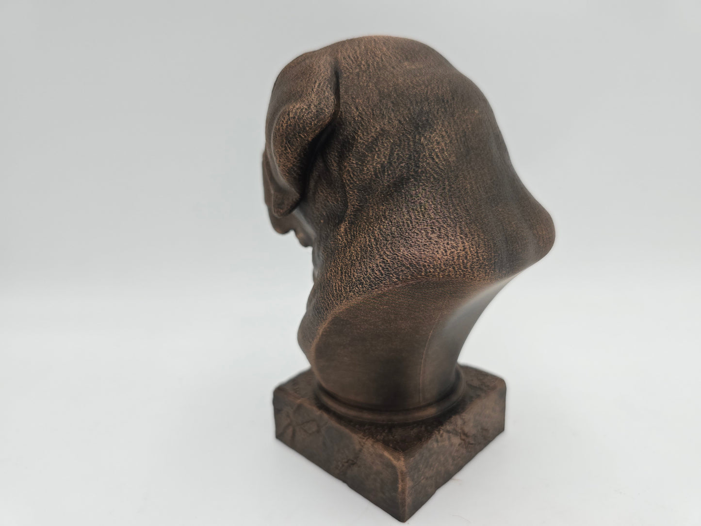 Saint Bernard Bust