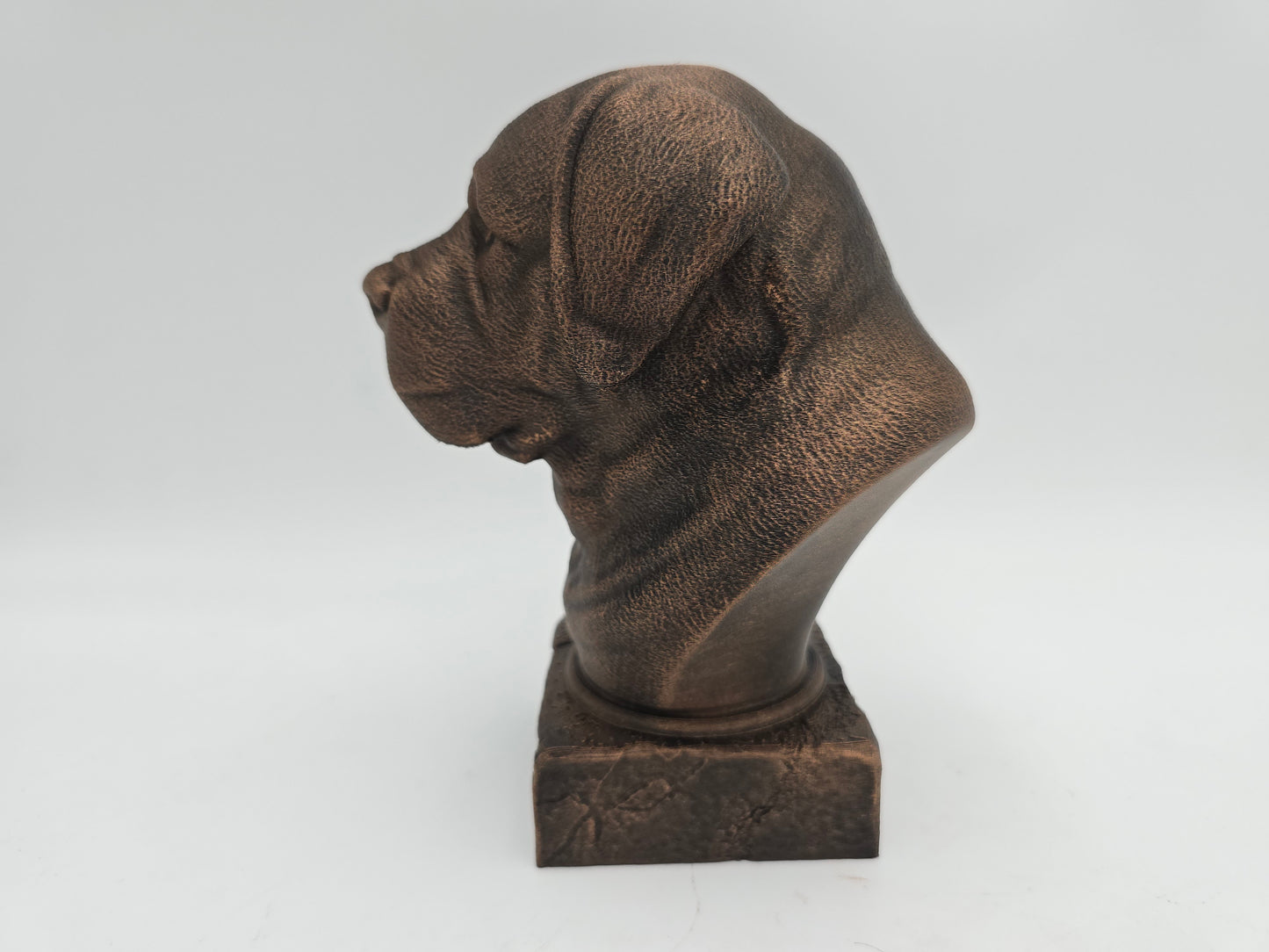 Saint Bernard Bust
