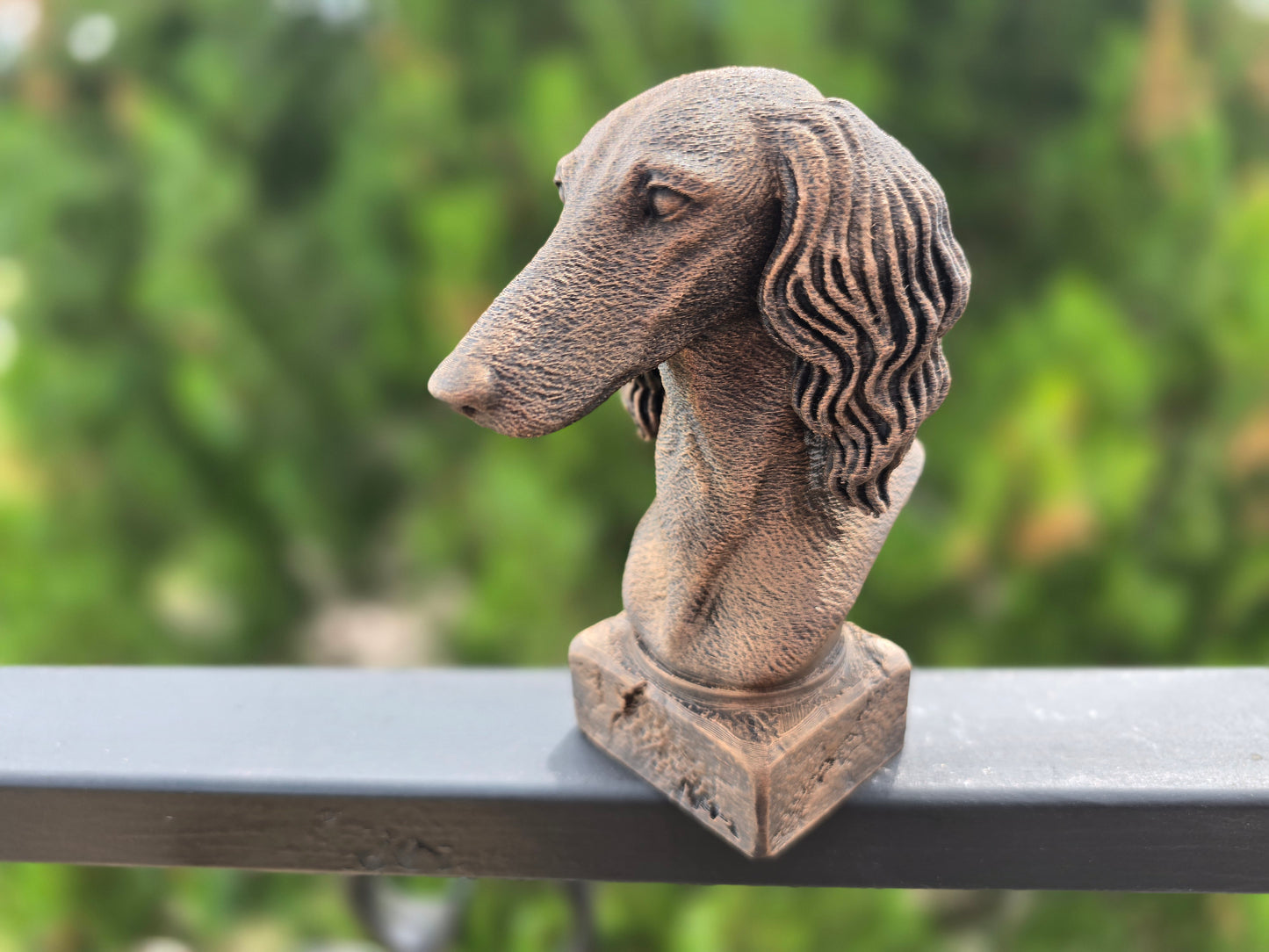 Saluki Bust