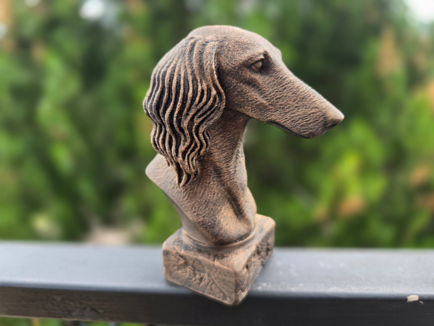 Saluki Bust