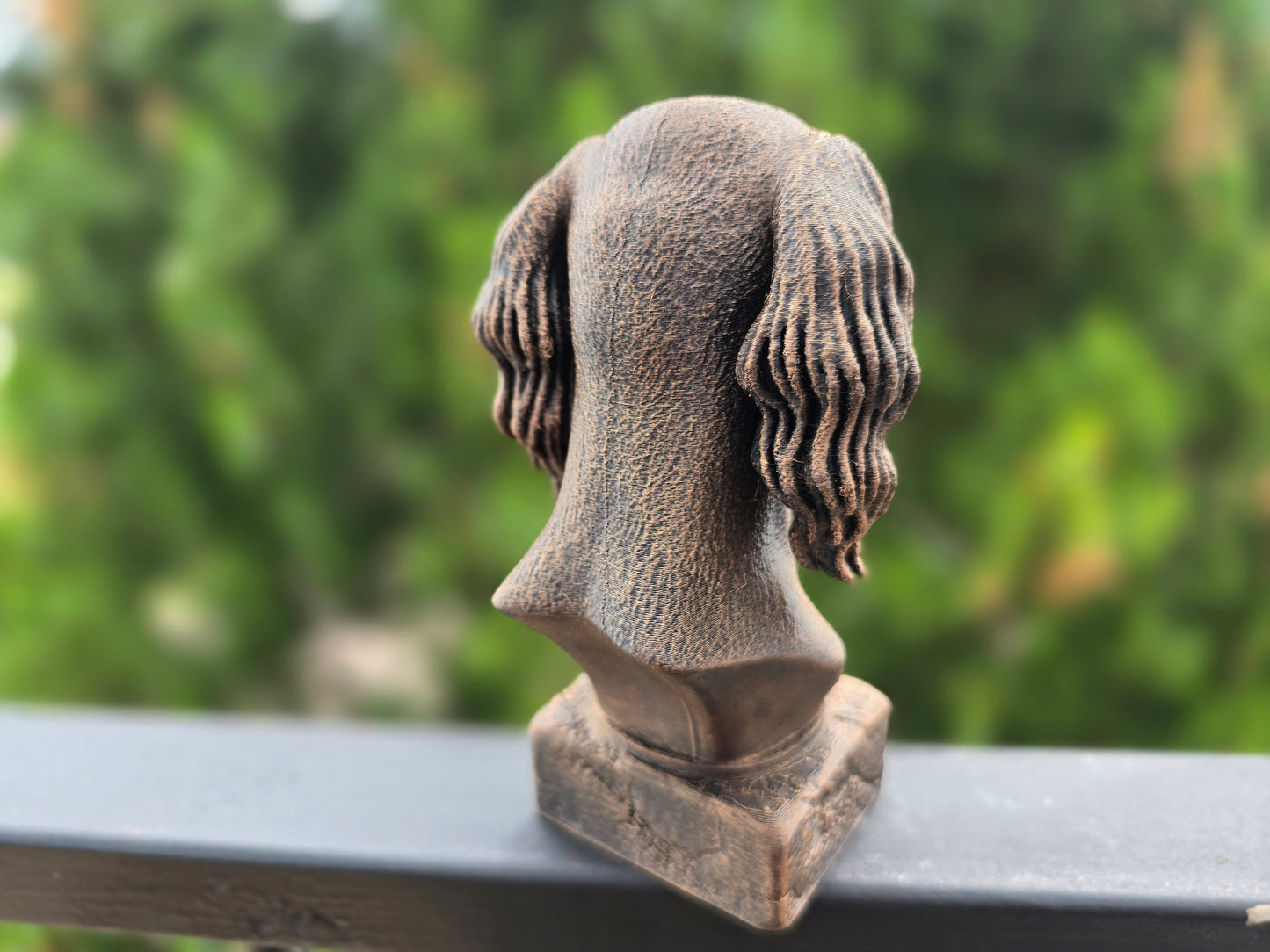 Saluki Bust
