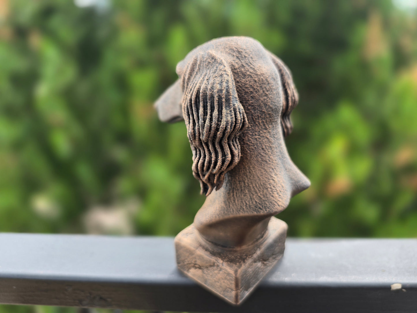 Saluki Bust