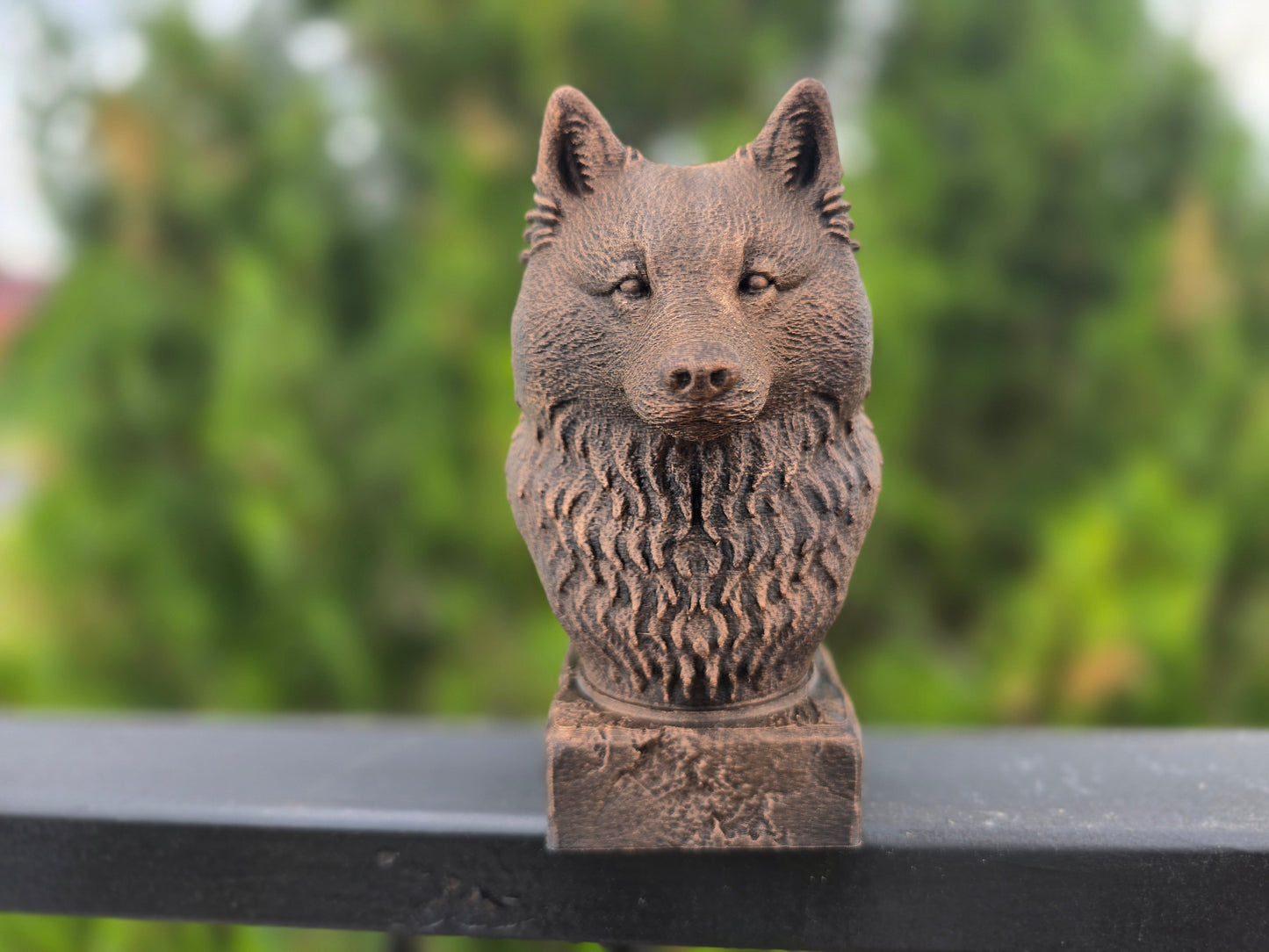 Samoyed Bust