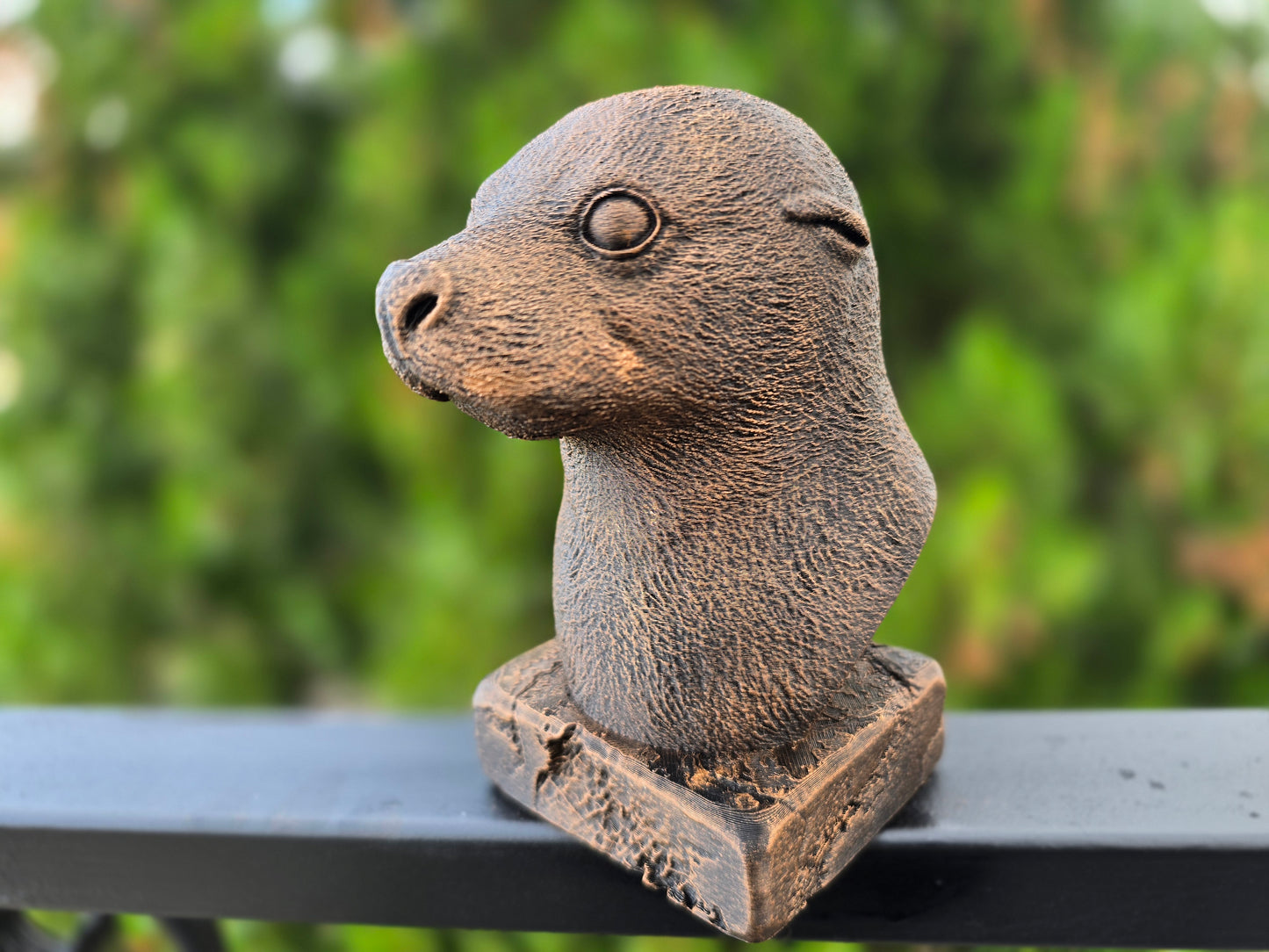 Seal Bust
