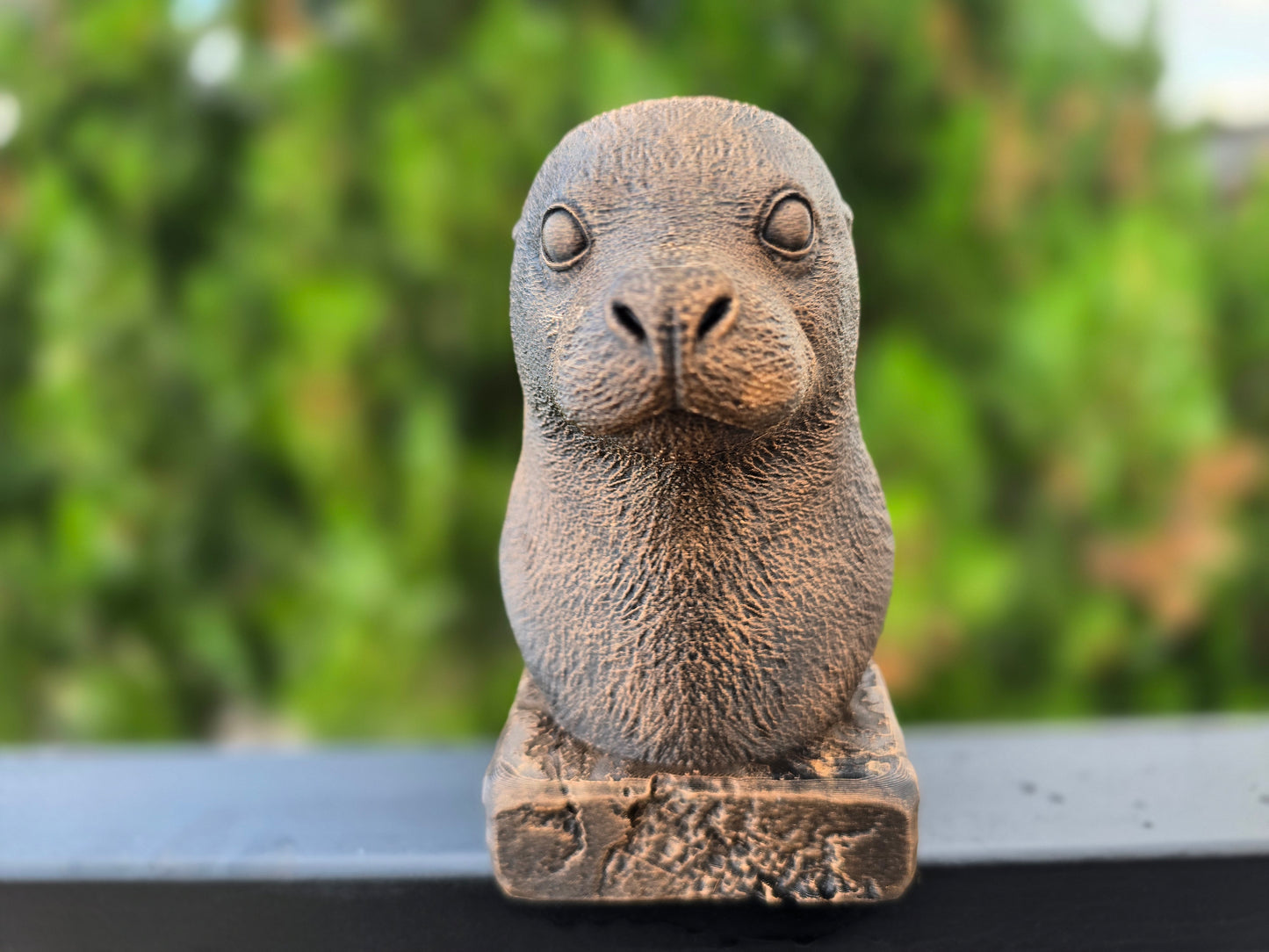 Seal Bust