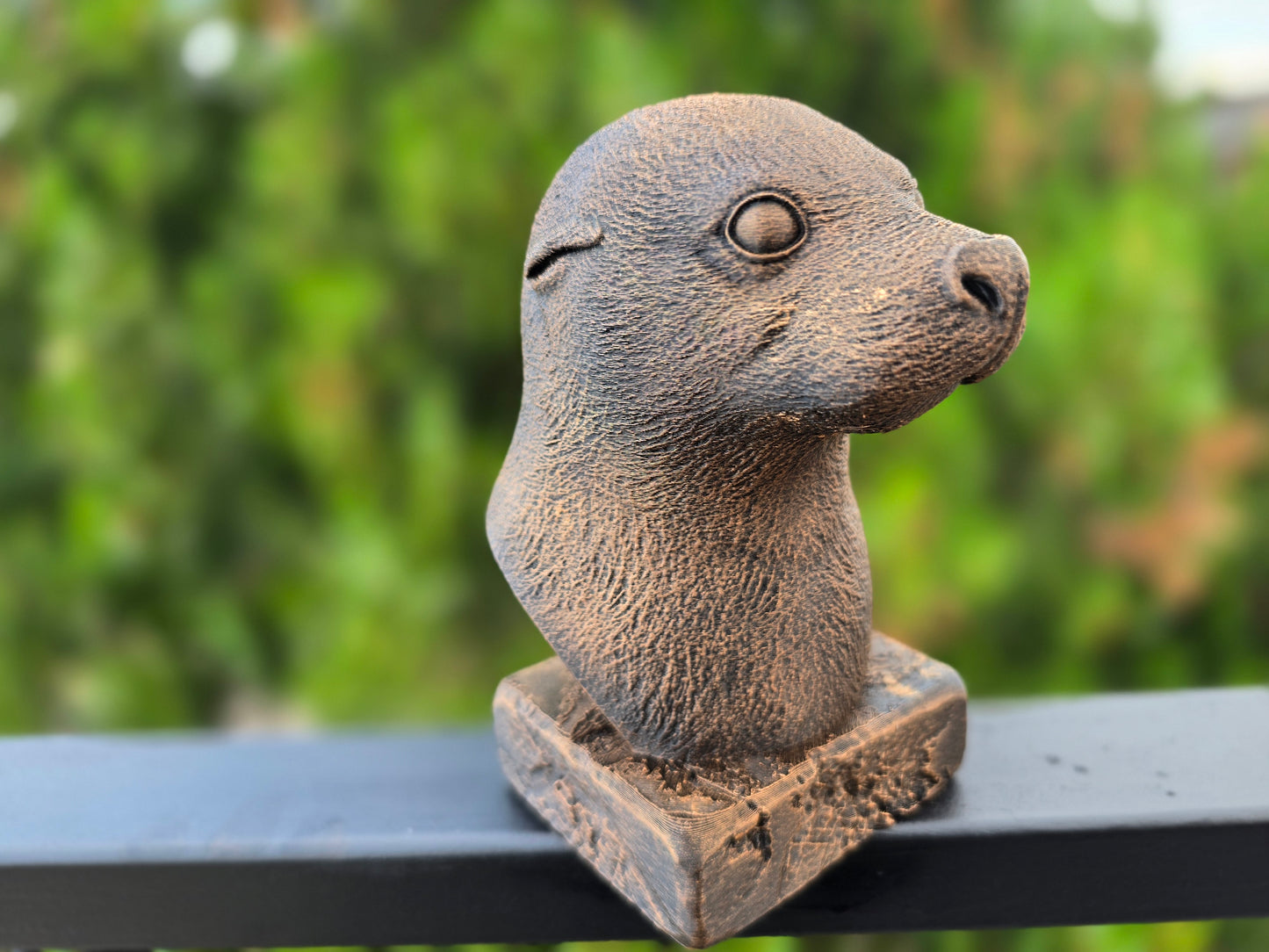Seal Bust