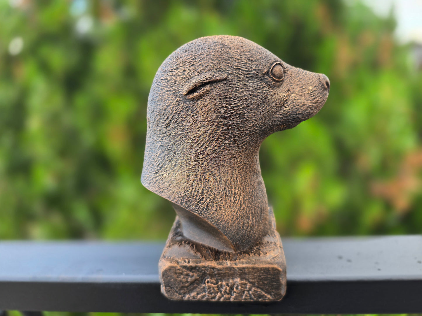Seal Bust