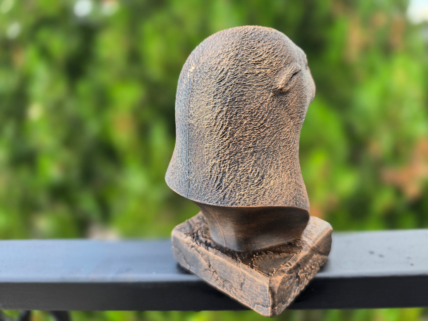 Seal Bust