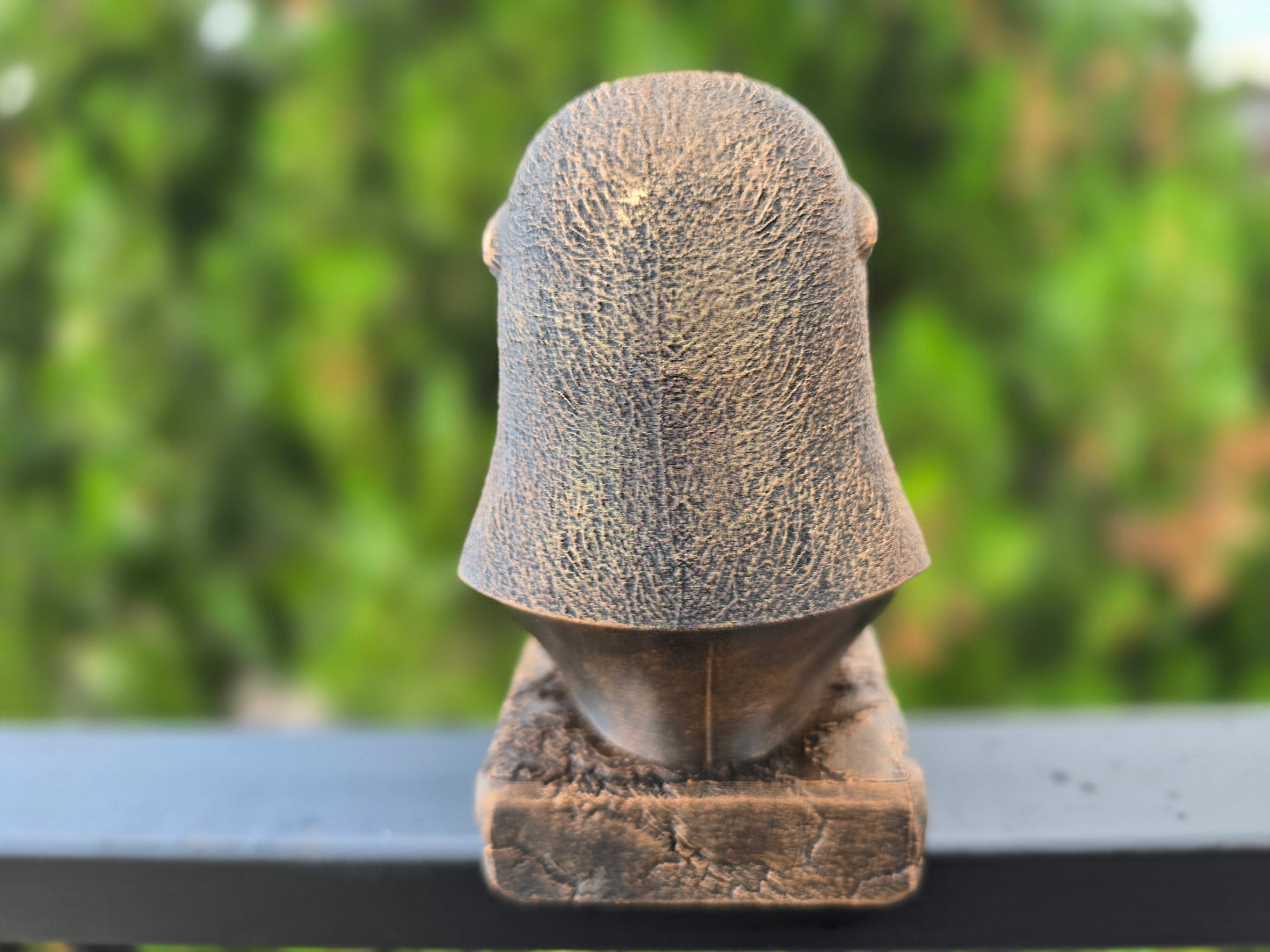 Seal Bust