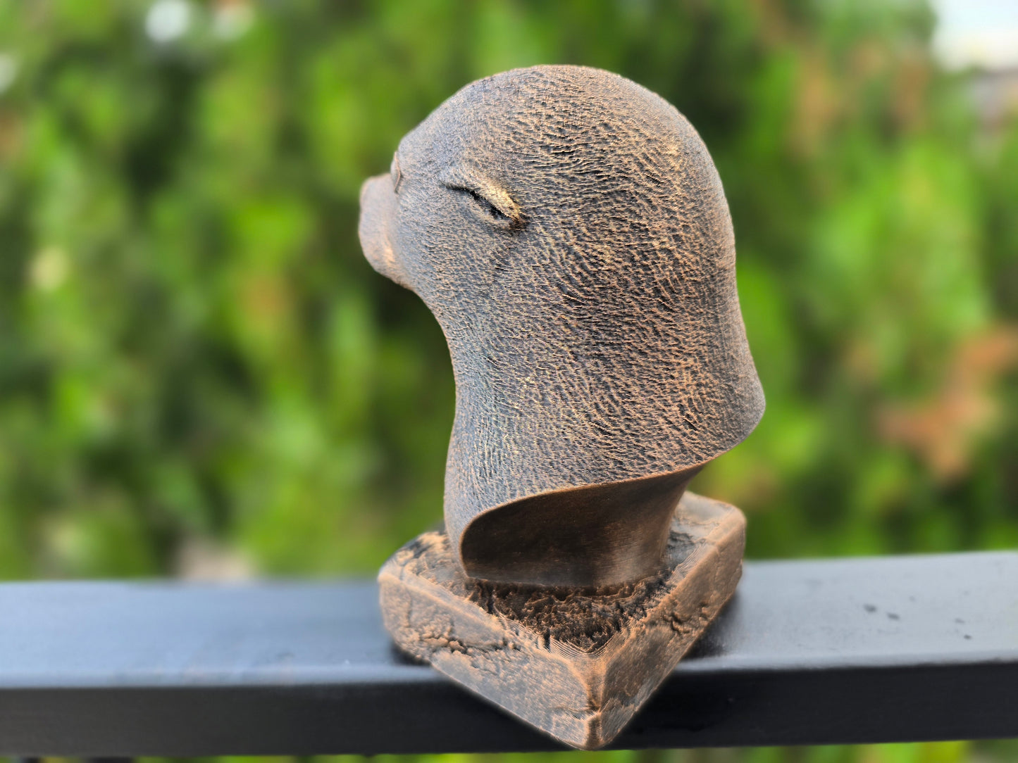 Seal Bust