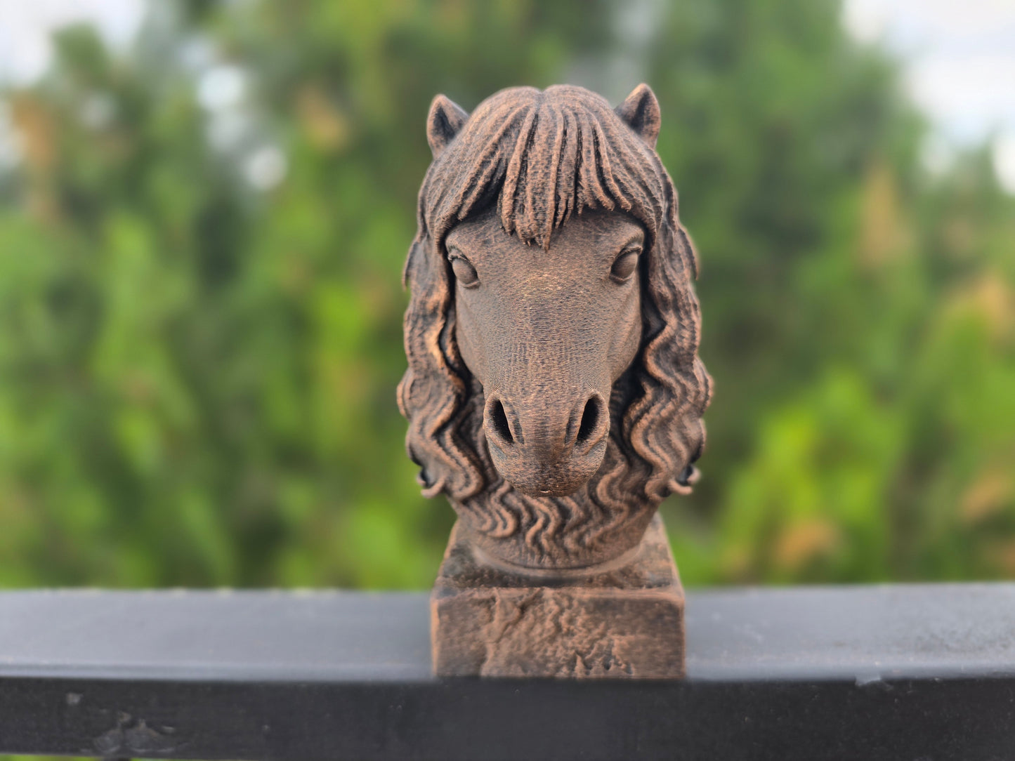 Shetland Pony Bust