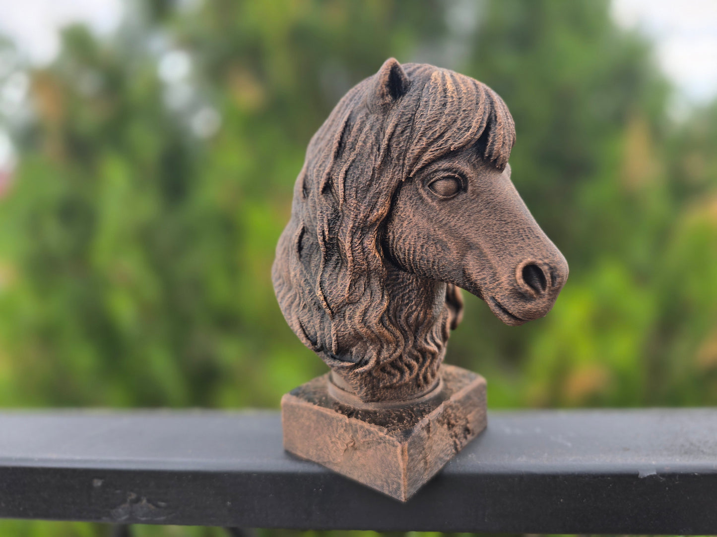 Shetland Pony Bust