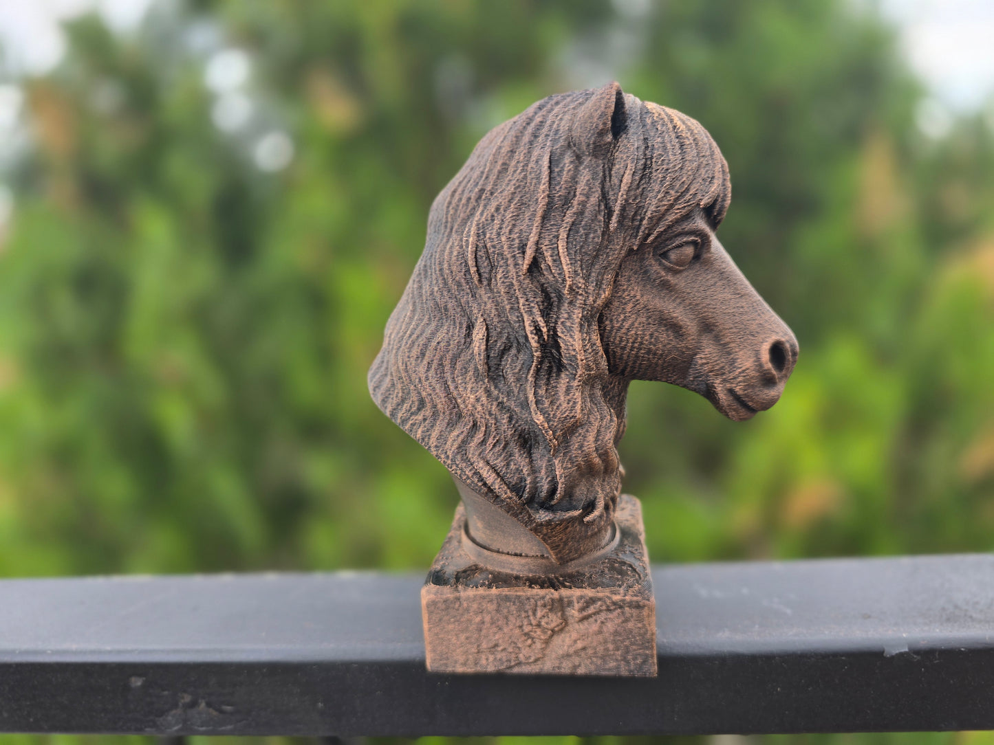 Shetland Pony Bust