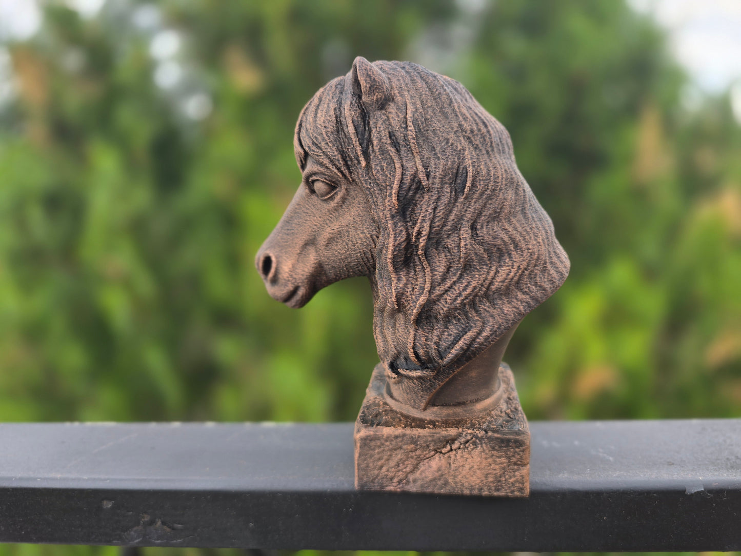 Shetland Pony Bust