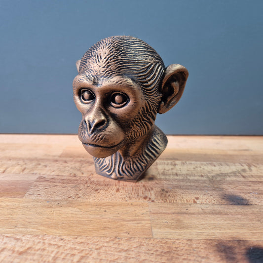 Saimiri (Squirrel Monkey) Bust