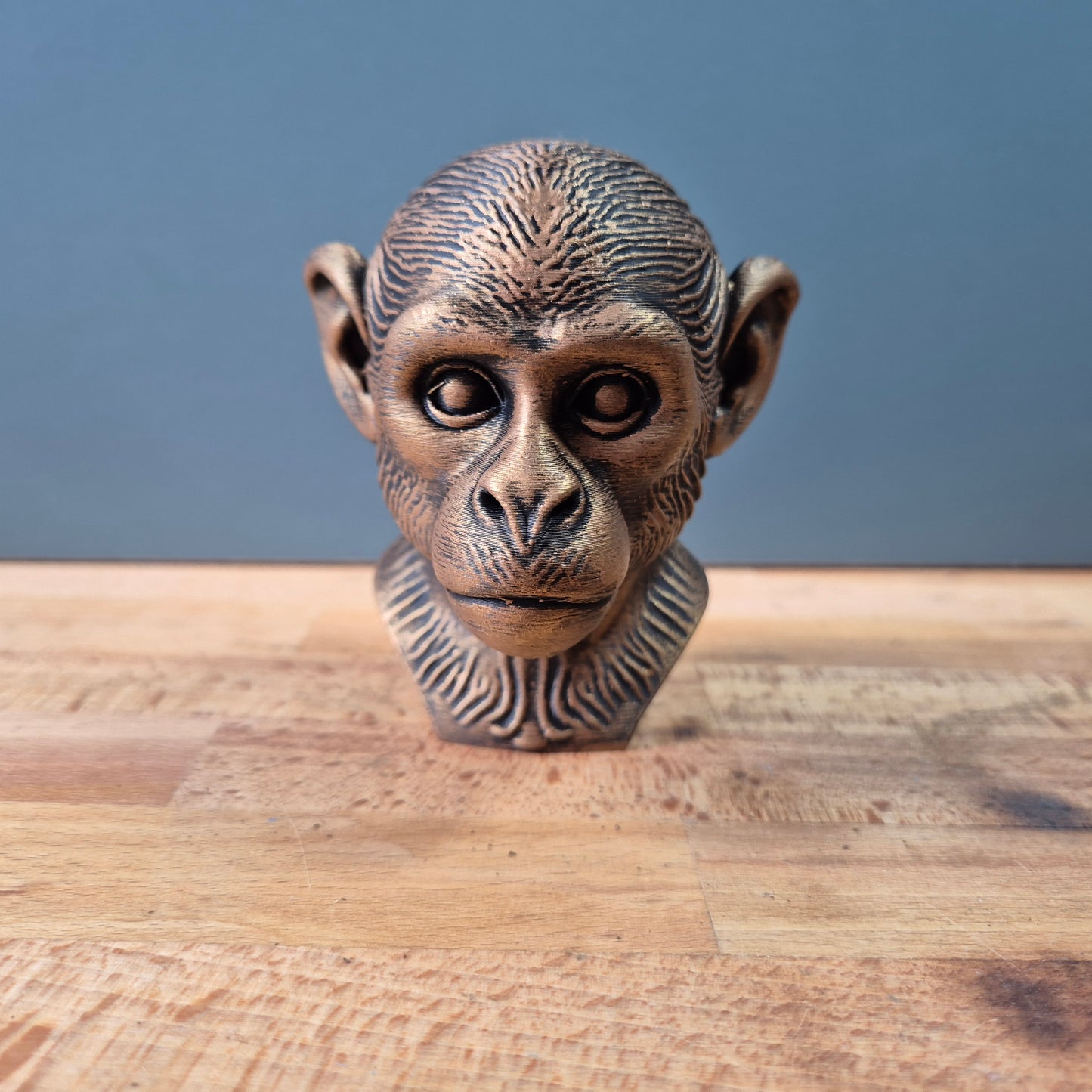 Saimiri (Squirrel Monkey) Bust