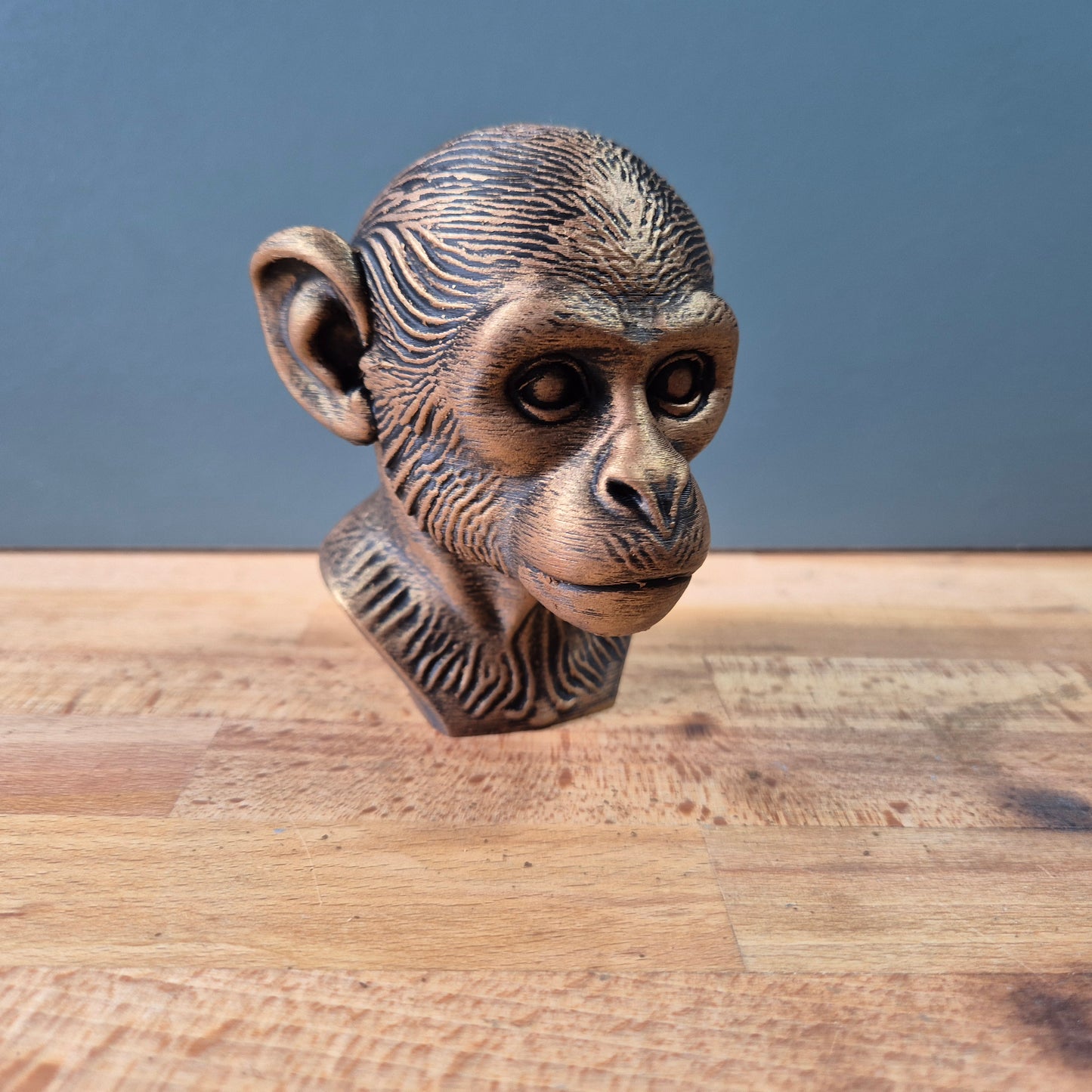 Saimiri (Squirrel Monkey) Bust