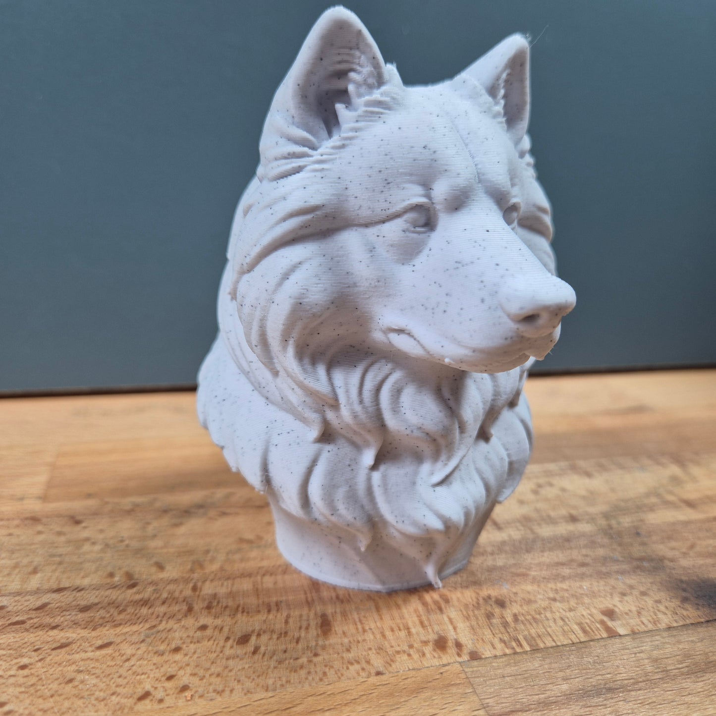 Samoyed Bust