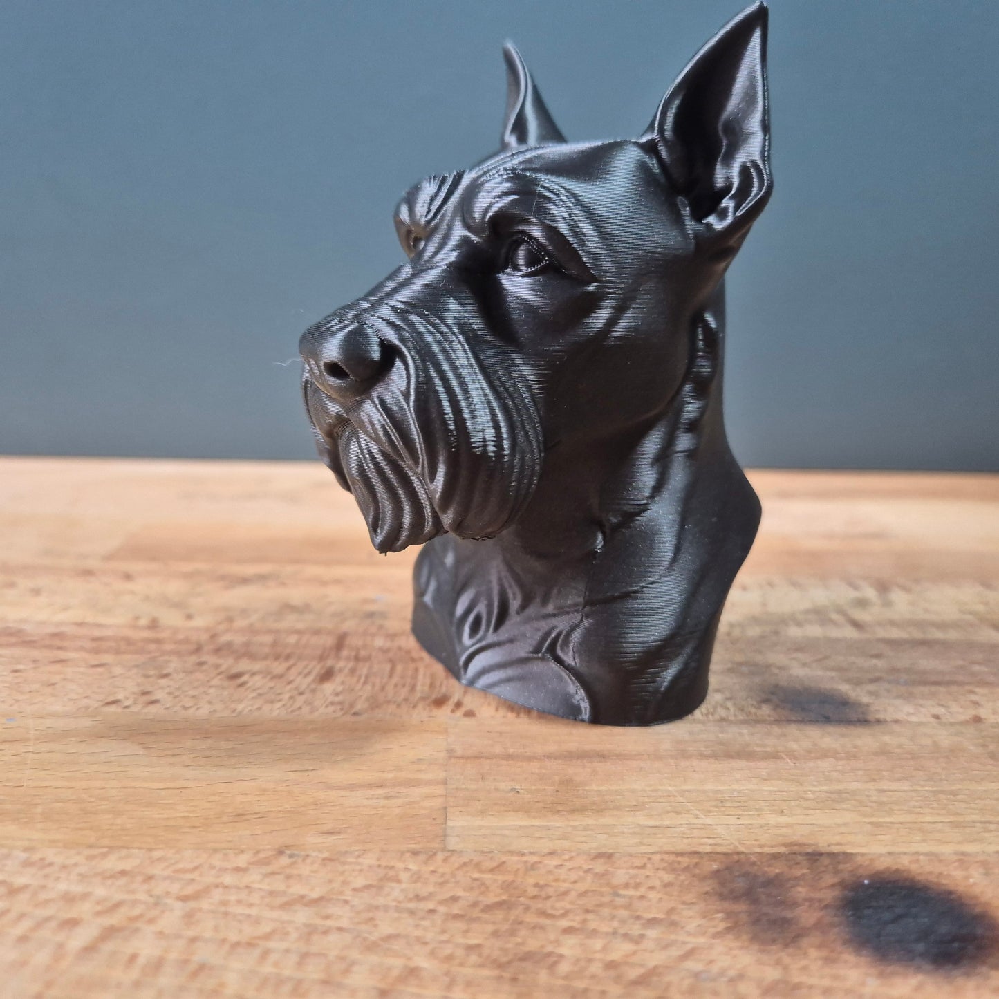 Schnauzer Bust
