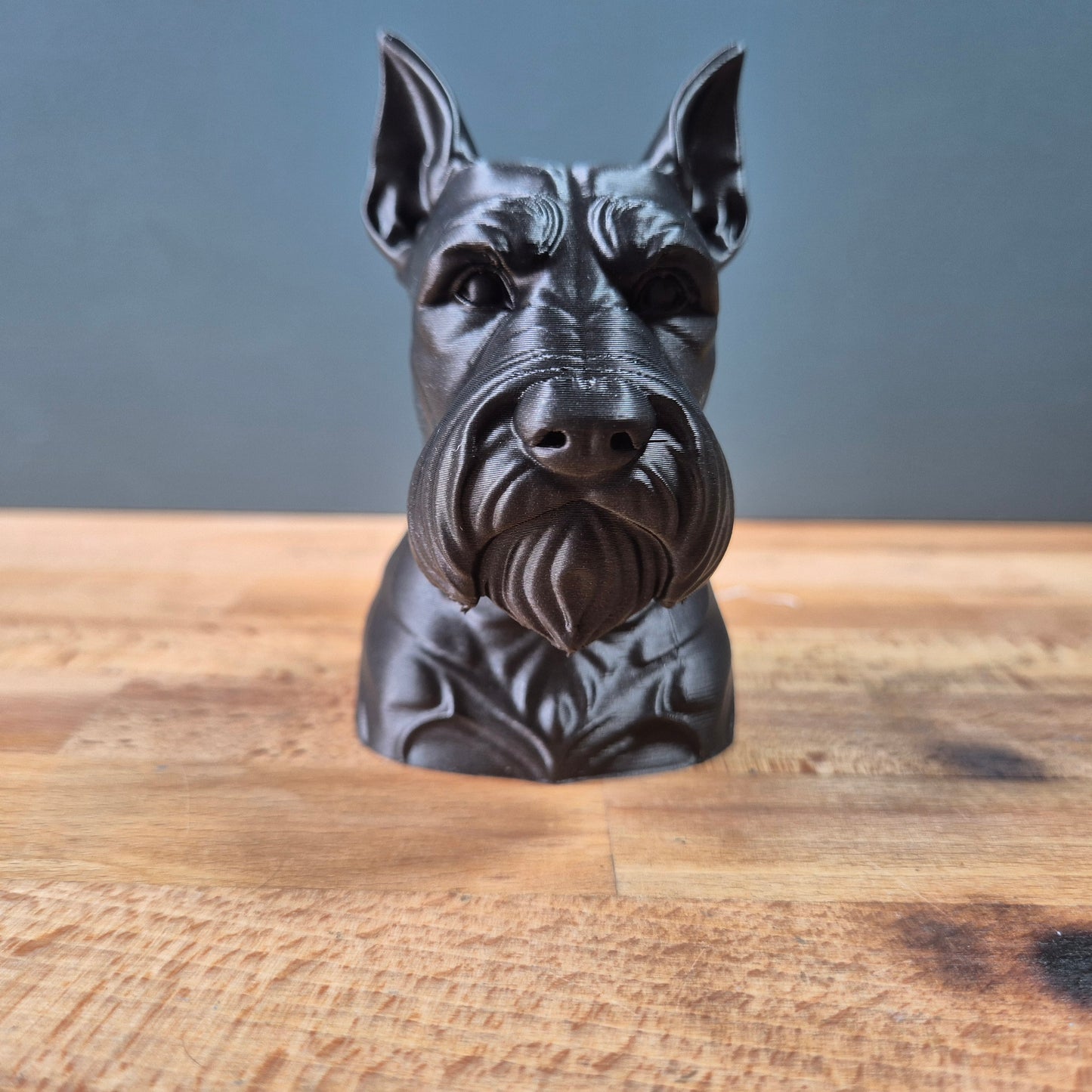 Schnauzer Bust
