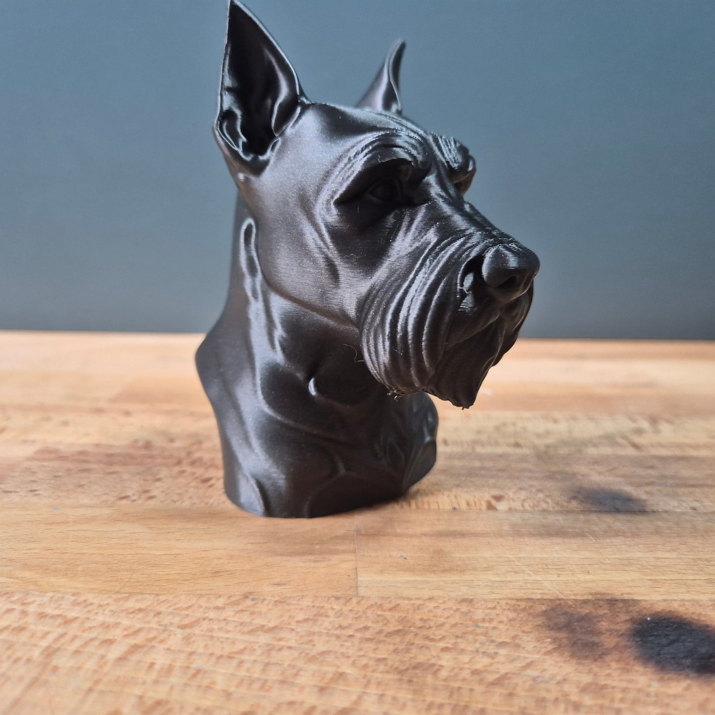 Schnauzer Bust