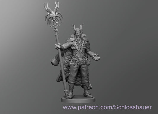 Dungeons & Dragons Shifter Warlock Miniature