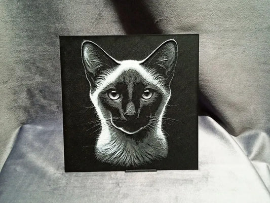 Siamese Cat