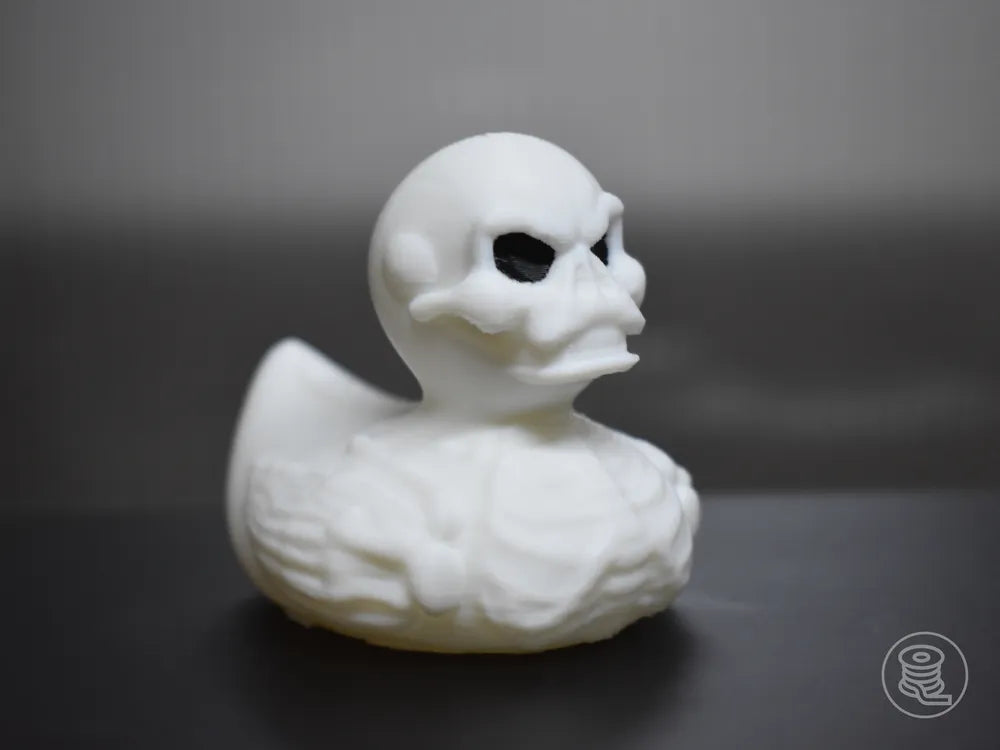 Skeleton Duck