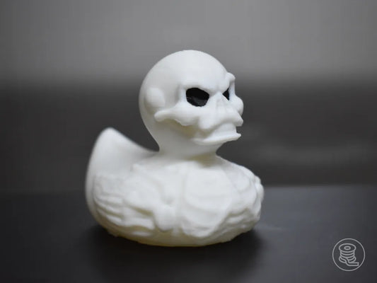 Skeleton Duck