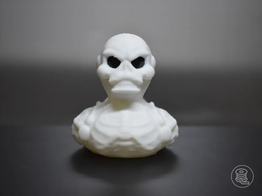 Skeleton Duck