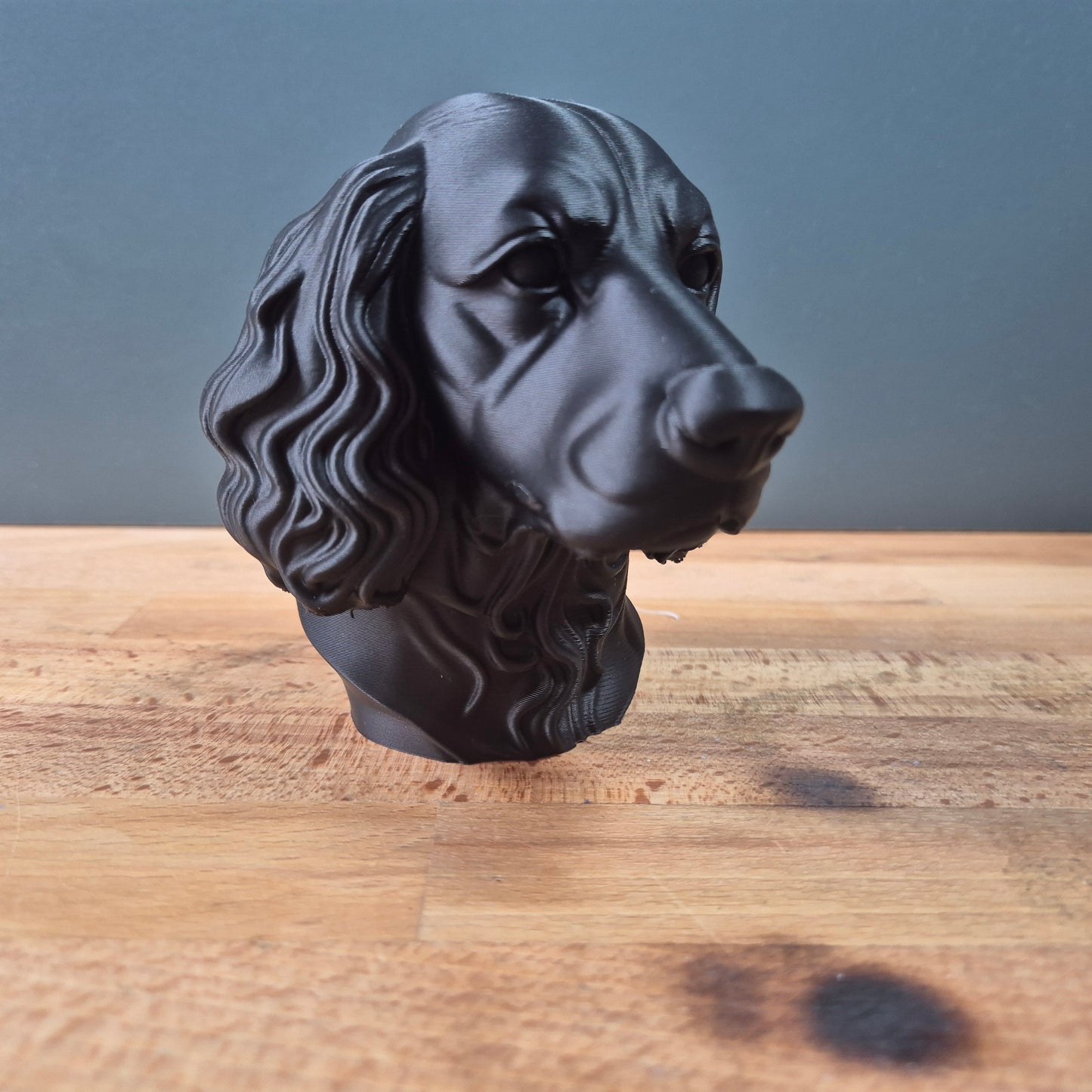Sprocker Spaniel Bust