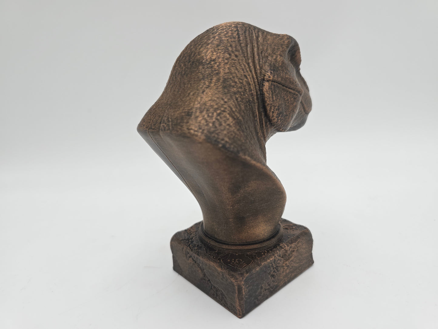 Tyrannosaurus Rex Bust
