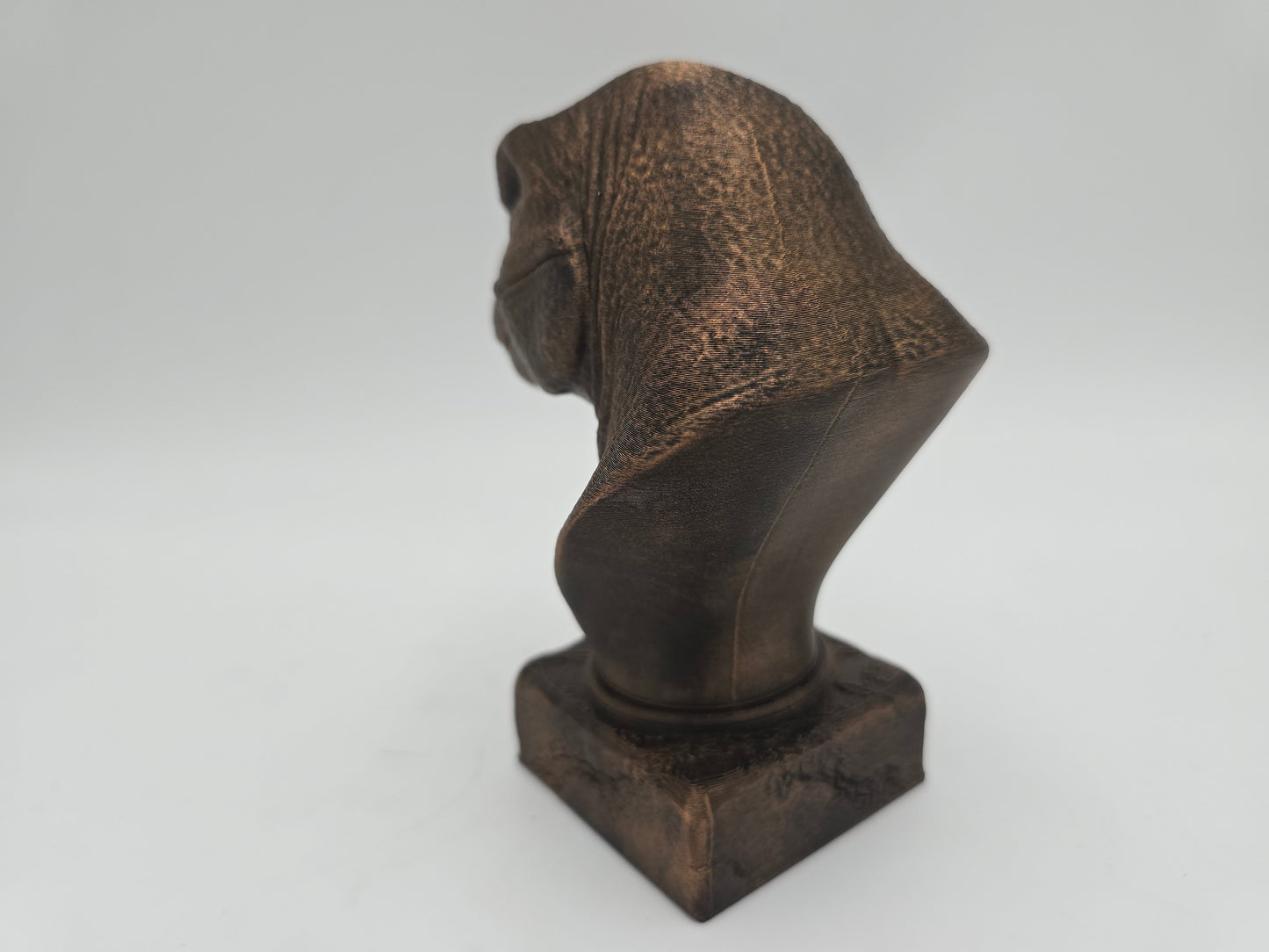 Tyrannosaurus Rex Bust
