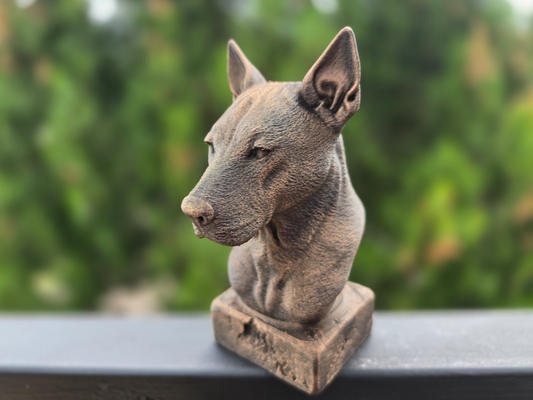 Thai Ridgeback Bust