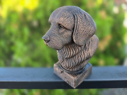 Tibetan Spaniel Bust