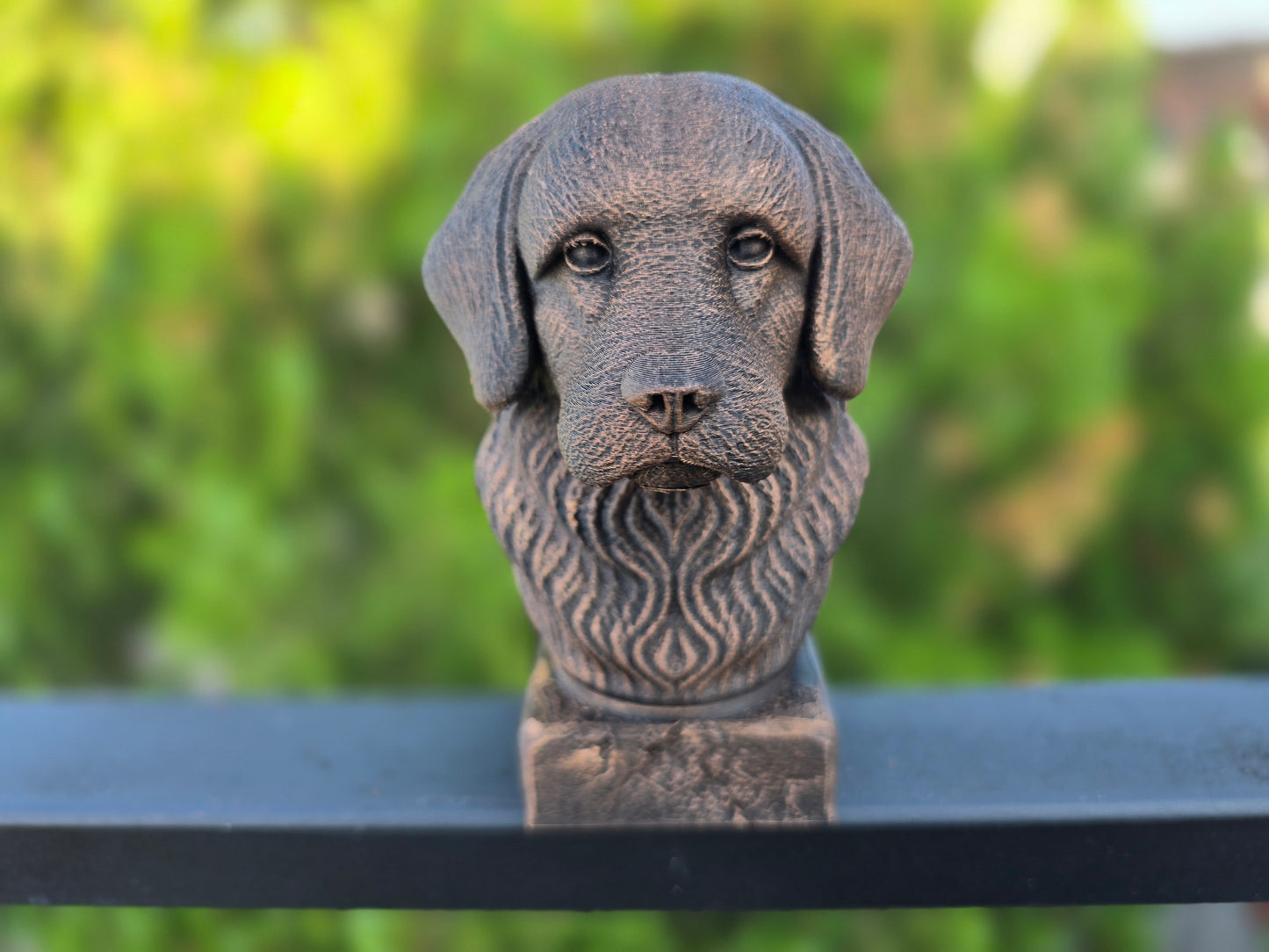 Tibetan Spaniel Bust