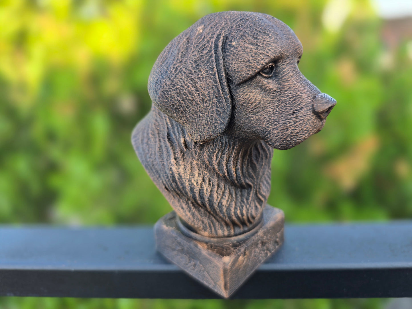 Tibetan Spaniel Bust