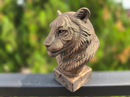 Tiger Bust