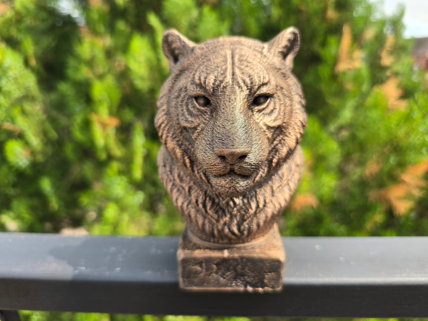 Tiger Bust