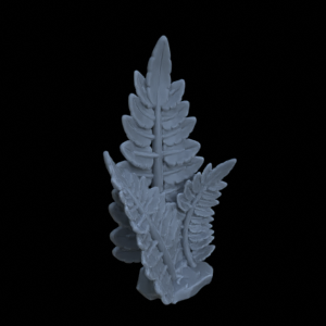 Terrain Plant Fern 07