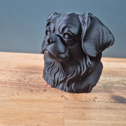 Tibetan Spaniel Bust