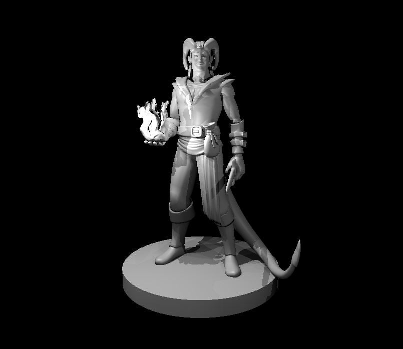 Dungeons & Dragons Tiefling Male Sorcerer Miniature
