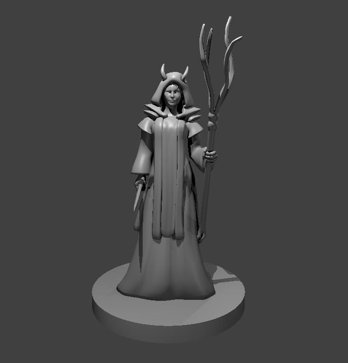 Dungeons & Dragons Tiefling Wizard with Archmage Robes and Tentacle Staff Miniature