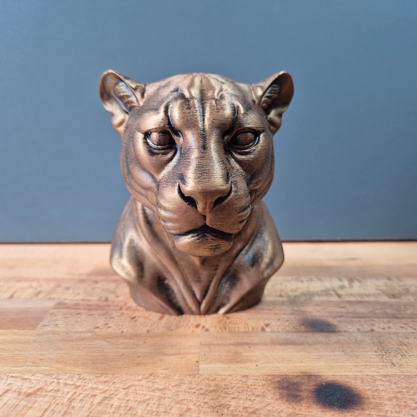Tiger Bust
