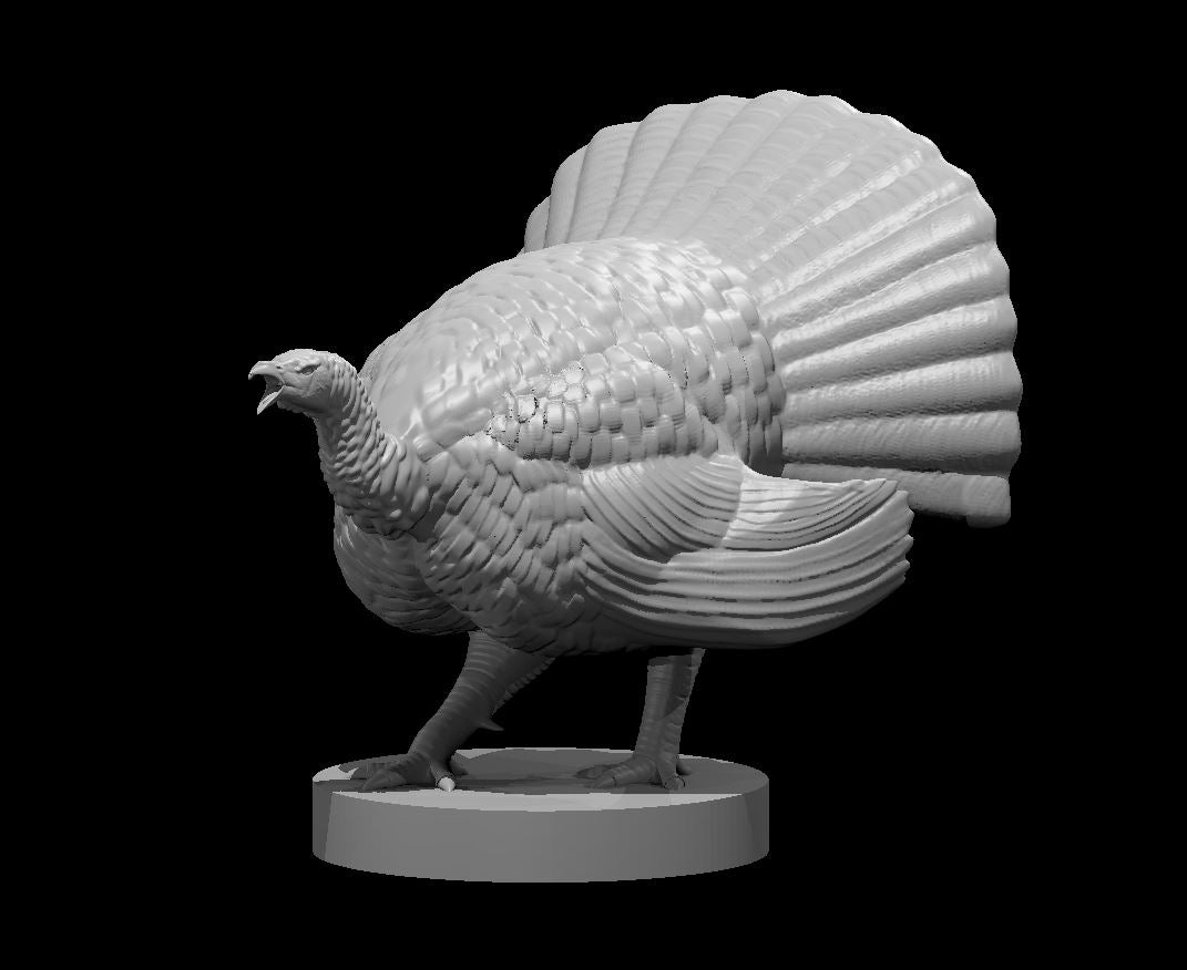 Dungeons & Dragons Turkey Miniature